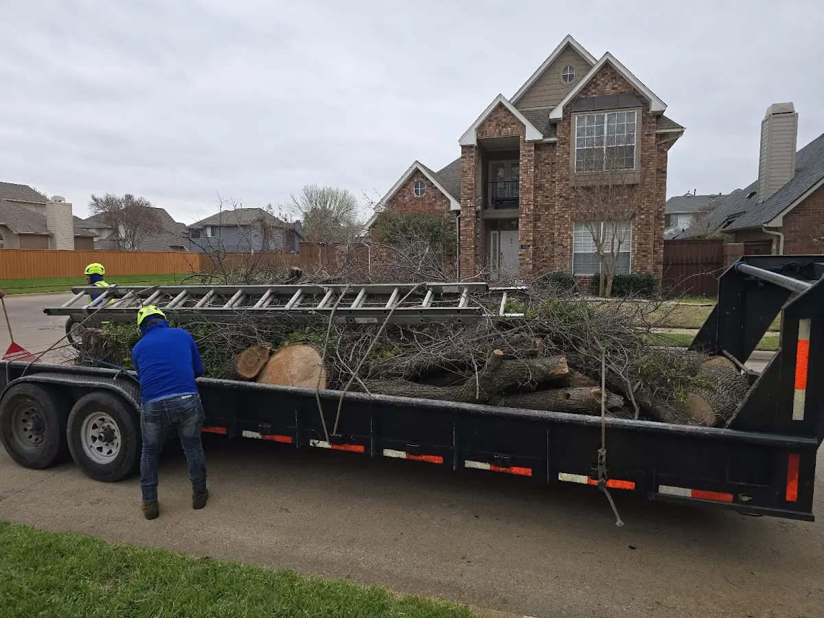 Expert Tree Fertilization with proper safety equipment in Fincastle